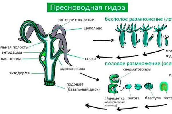 Кракен ссылка зайти