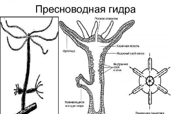 Гидра зайти кракен