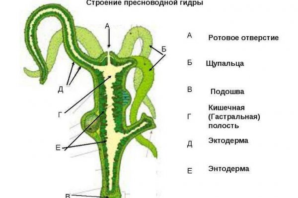 Кракен ссылка kraken