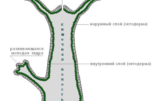 Kraken ссылка kraken link24 info
