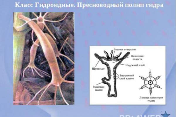 Почему не получается зайти на кракен