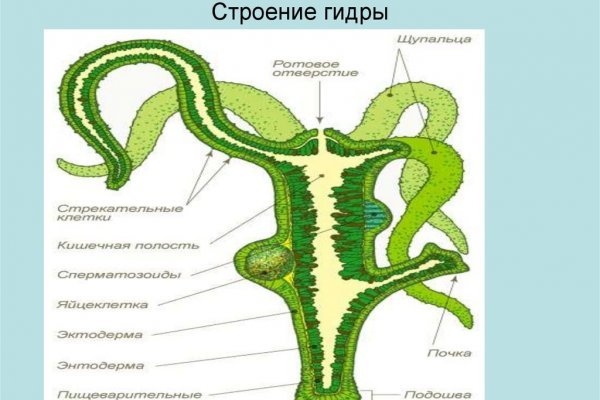 Кракен маркетплейс создатель