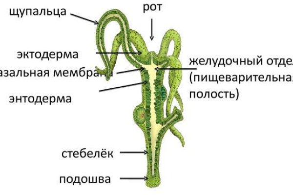 Как пополнять кракен тор